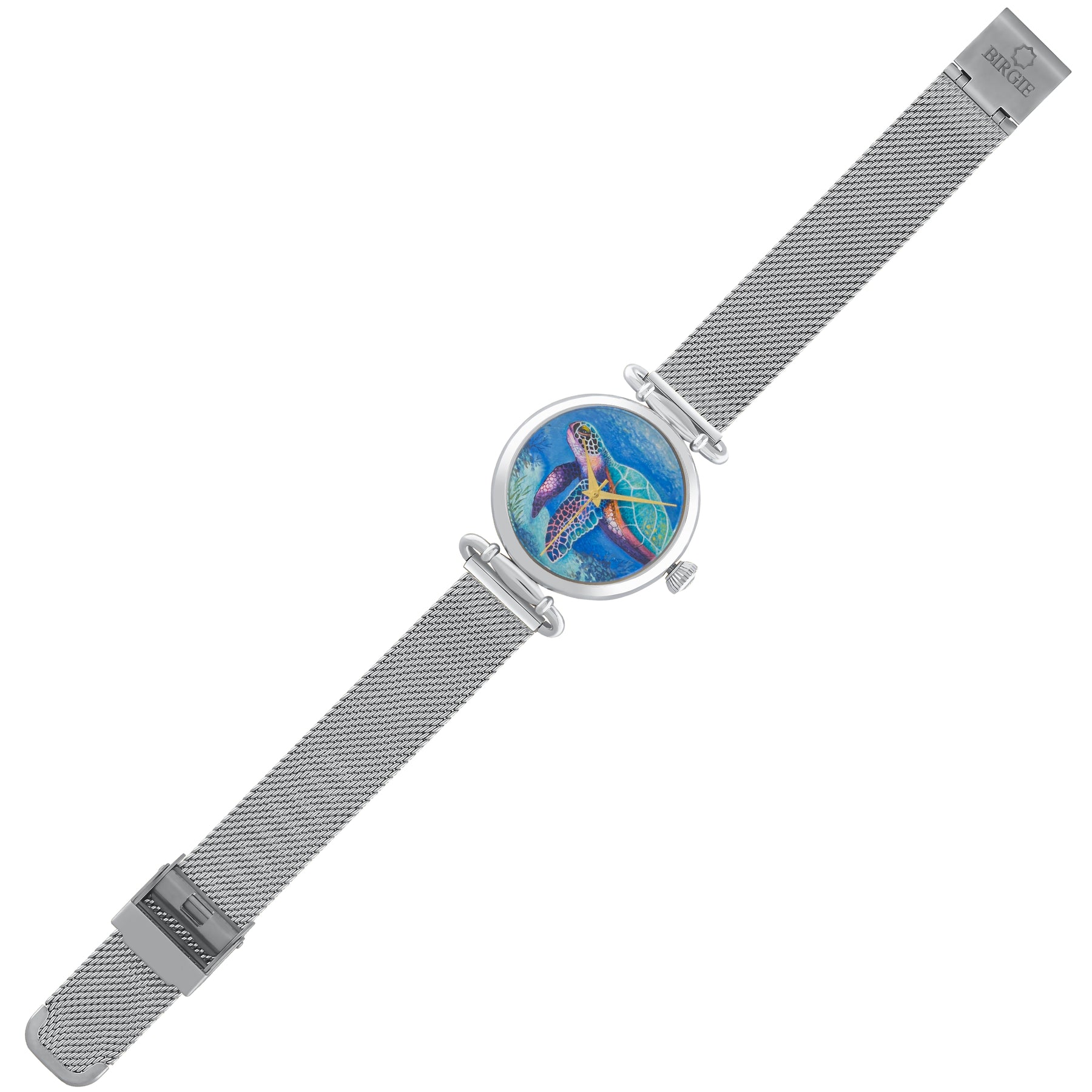 Schildkröte Uhr