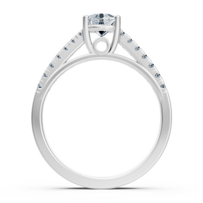 Sirius diamond ring in 14K white gold